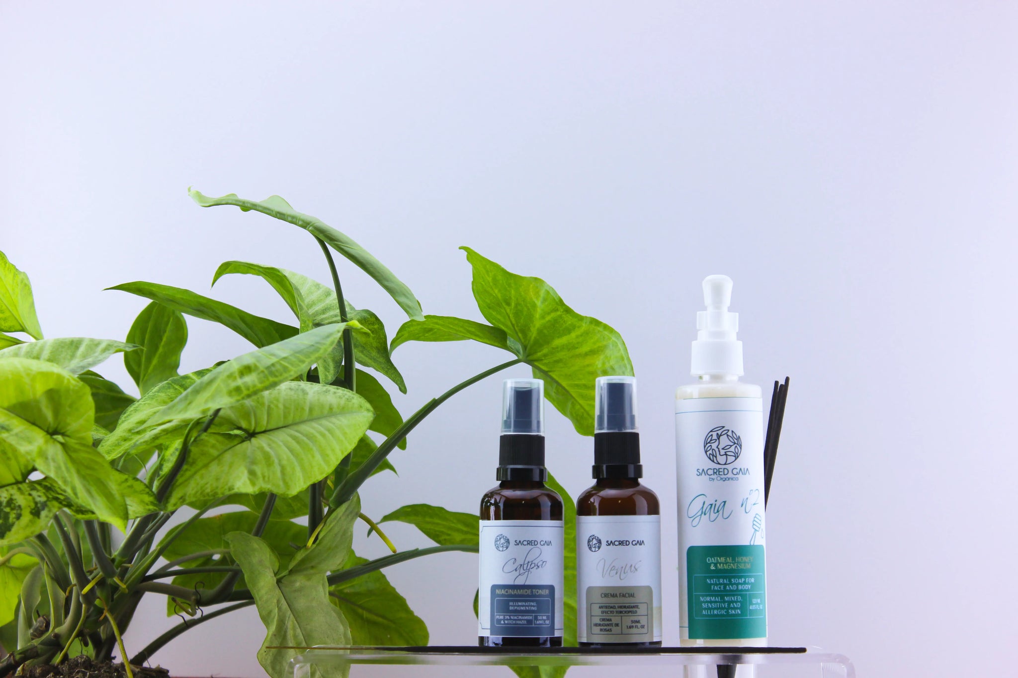 Kit Facial Inicial